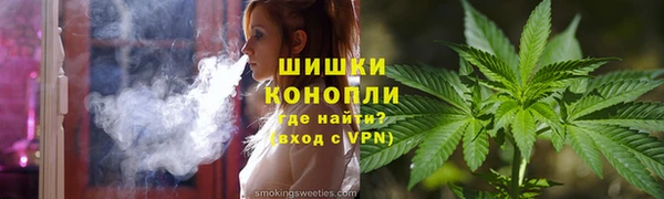 дмт Богданович