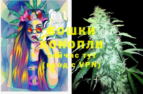 крисы Богородицк