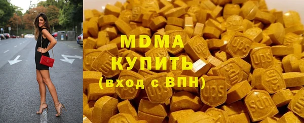 дмт Богданович