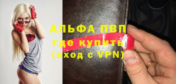 крисы Богородицк