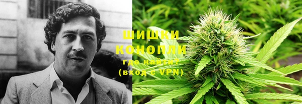 крисы Богородицк