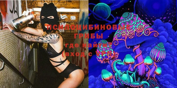 дмт Богданович