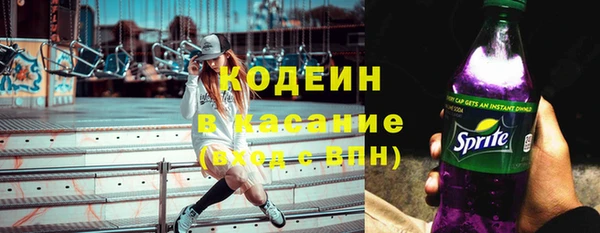 дмт Богданович
