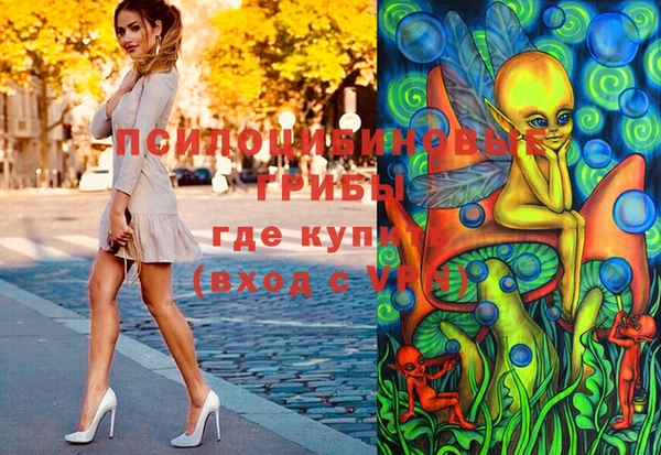 PSILOCYBIN Беломорск