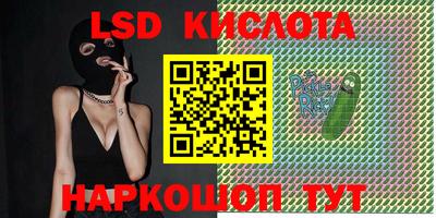 спиды Кинель