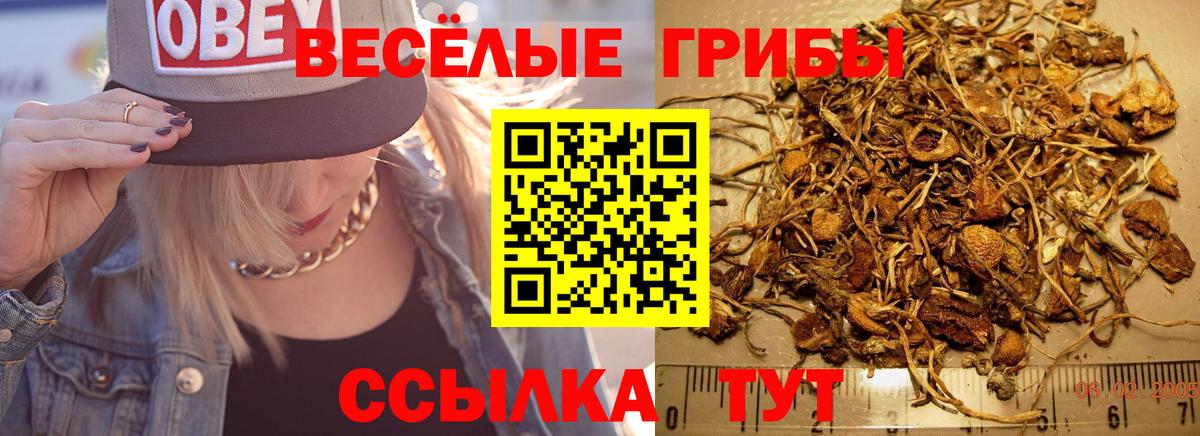 Галлюциногенные грибы мицелий  Галлюциногенные грибы Magic Shrooms  Вход с VPN  Свободный 
